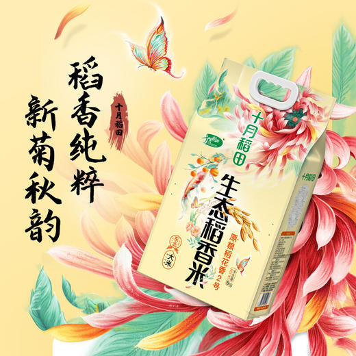 十月稻田 香米 稻花香2号 5kg 稻花香2号 东北大米  粳米 十斤 商品图2