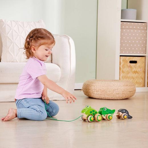 T hape   E0365AE   拖拉青蛙家族 商品图1