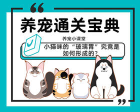 小猫咪的“玻璃胃”究竟是如何形成的？