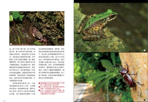课堂没教的生态摄影(自然观察丛书) 商品图4
