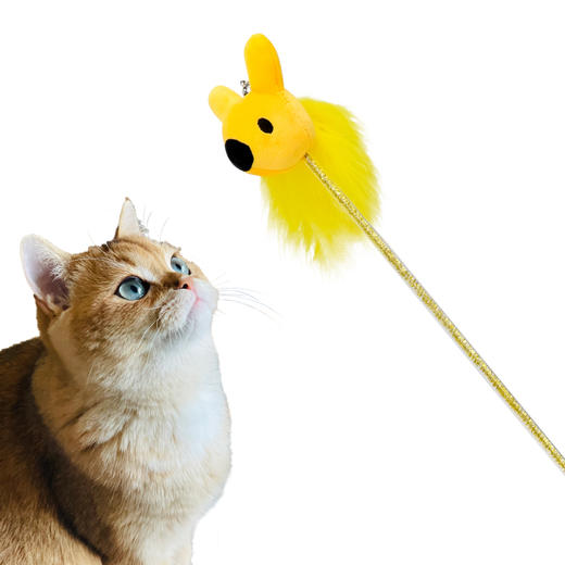宠物系列逗猫棒套装 商品图2