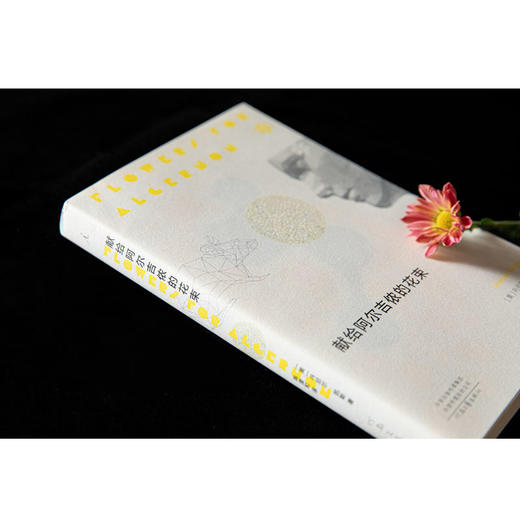 【13岁+】献给阿尔吉侬的花束 〔美〕丹尼尔·凯斯 商品图1