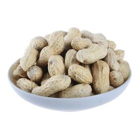 蒜味花生(500g±50g)