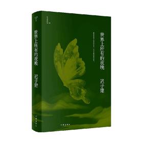 世界上所有的夜晚 迟子建作品 迟子建 著 小说