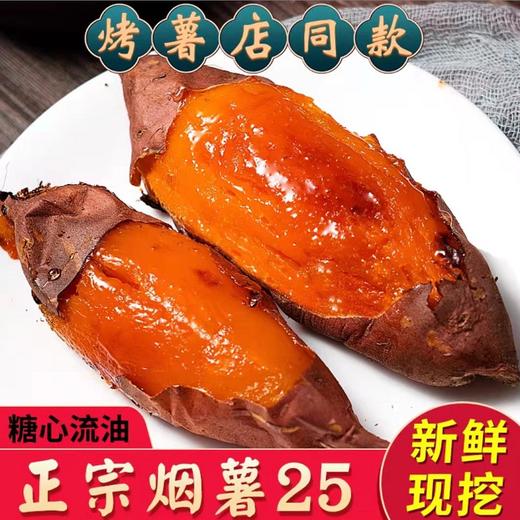 山东烟薯25号 5斤 商品图0
