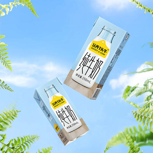 认养一头牛全脂纯牛奶250ml*15盒 加量装学生成人营养早餐纯奶整箱批发一提装 送礼佳选 商品图2
