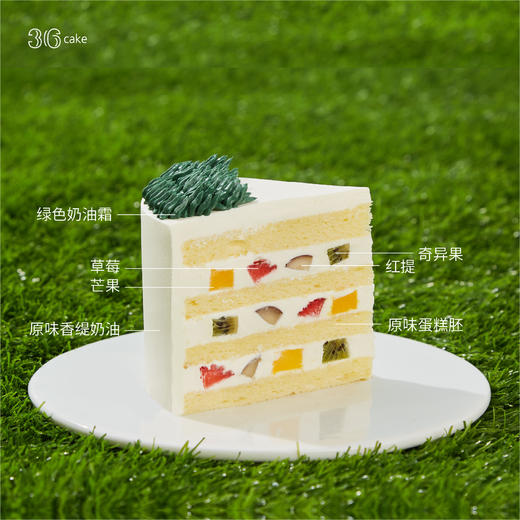 世界杯 ∙ 激情绿茵，可选2磅 商品图2