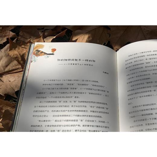 一个苹果滚下山 商品图1