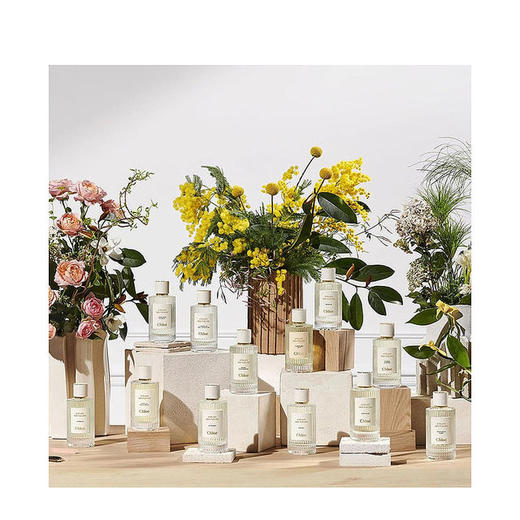 【保税仓】CHLOE 蔻依仙境花园系列香水木兰诗语 50ml（有效期至2028年2月） 商品图2