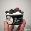 法国酸奶天花板6种新口味大包装！巴黎美食大赛冠军 天然超好吃！ 商品缩略图4