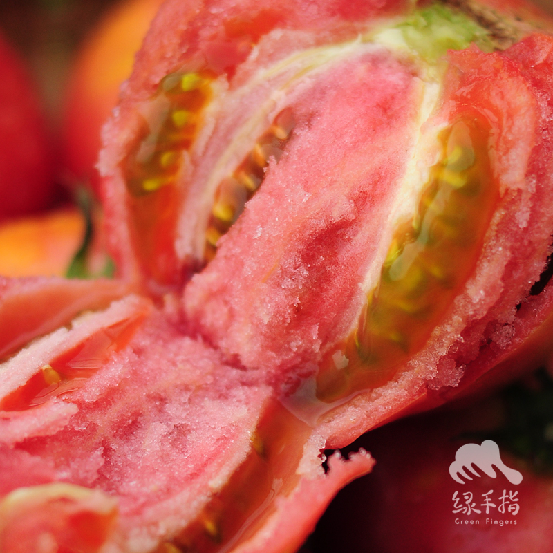 有机云南瑞粉西红柿 | 合作生产*Organic tomato | Partner Production