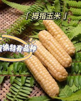 云好糯 西双版纳傣家香糯小玉米（4斤装）|蔬菜