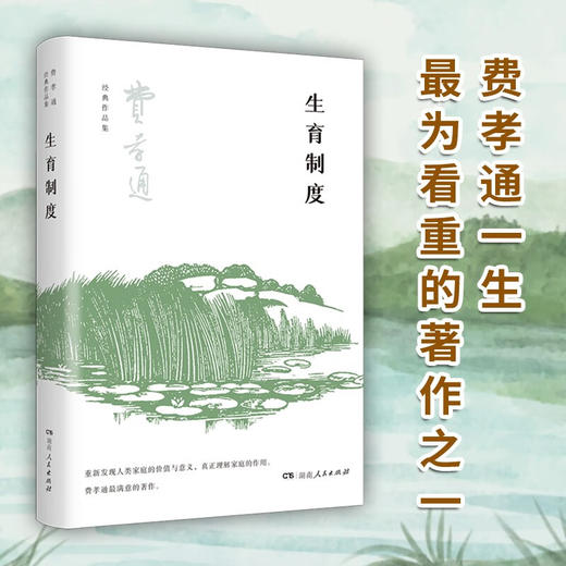 生育制度 费孝通 著 社会学 商品图3