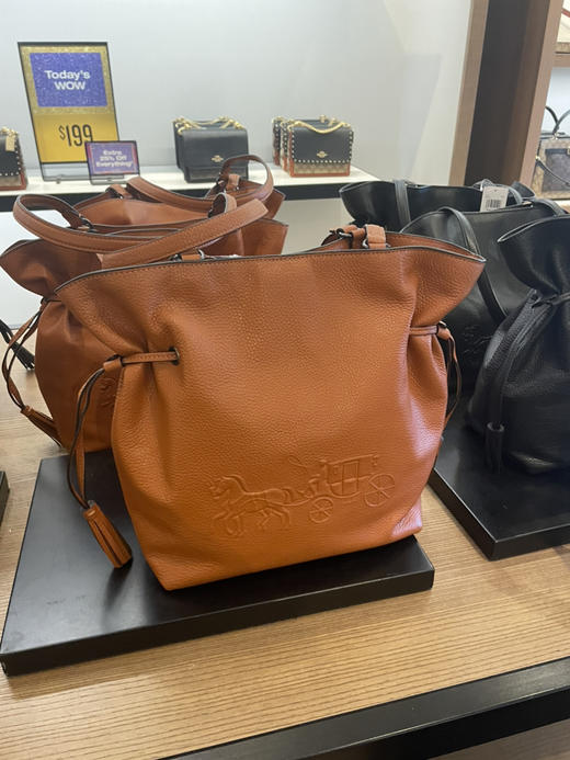 限时折扣￥1650！Coach 新款andy 福袋托特包 大号尺寸30*28.5*14 商品图5