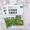 图说野菜栽培关键技术 商品缩略图1