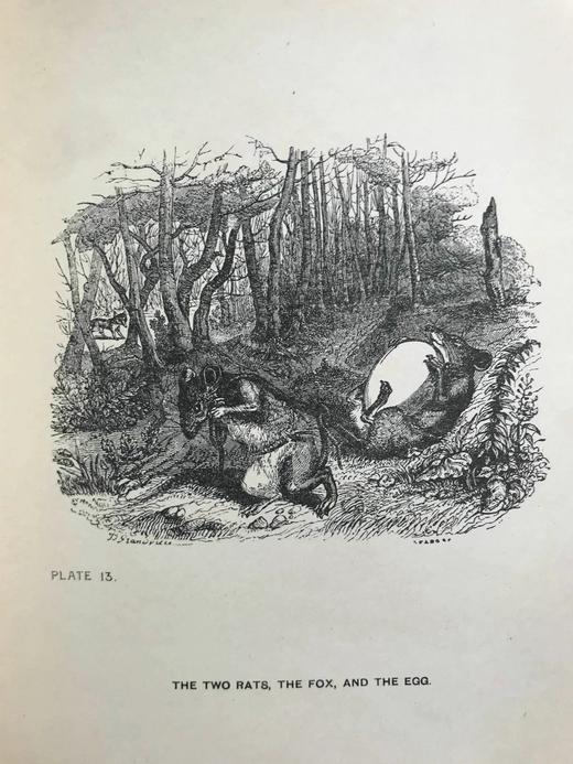 约20世纪早期 寓言故事集 格兰维尔23幅经典插图 漆布精装大32开 商品图7