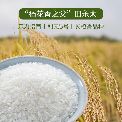 田良长粒香大米5kg-（新老包装随机发货哦~） 商品图3