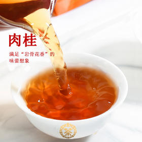 中茶海堤AT651/肉桂