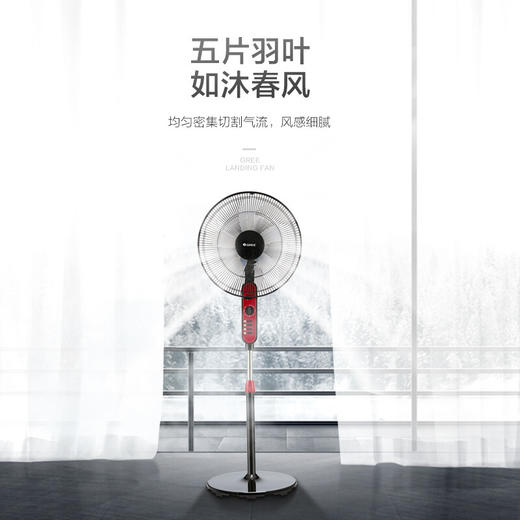 格力（GREE）五叶风扇/家用静音落地扇/立式电扇/电风扇 FD-4010-WG 商品图1