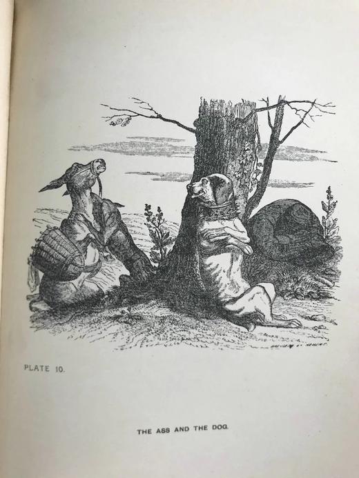 约20世纪早期 寓言故事集 格兰维尔23幅经典插图 漆布精装大32开 商品图11