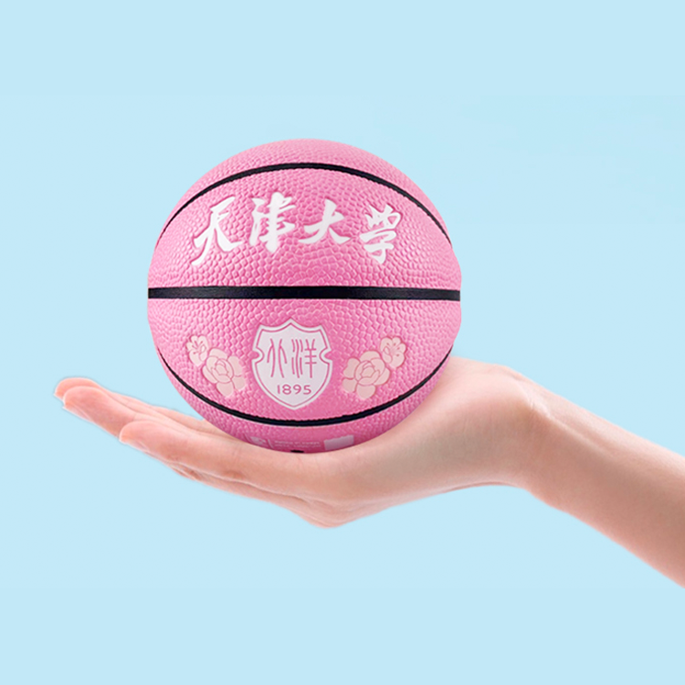 天津大学1#海棠纪念篮球