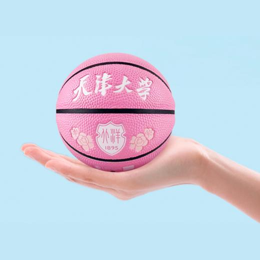 天津大学1#海棠纪念篮球 商品图0