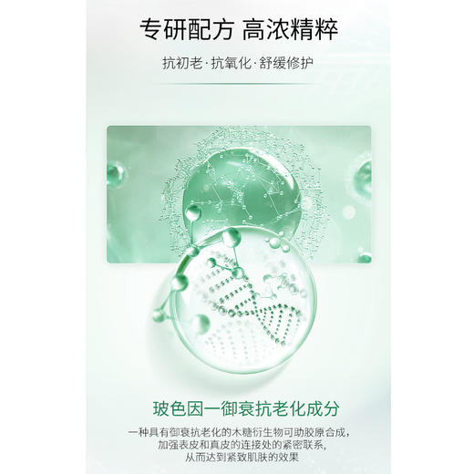 【张晓洁博士研发】SHOODANA舒丹娜玻色因御龄紧致面霜 50克/盒 商品图4