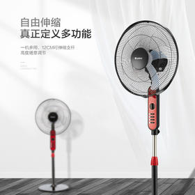 格力（GREE）五叶风扇/家用静音落地扇/立式电扇/电风扇 FD-4010-WG