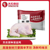 天农138原种清远鸡600g  生态农场散养走地鸡 供港基地出品 商品缩略图1