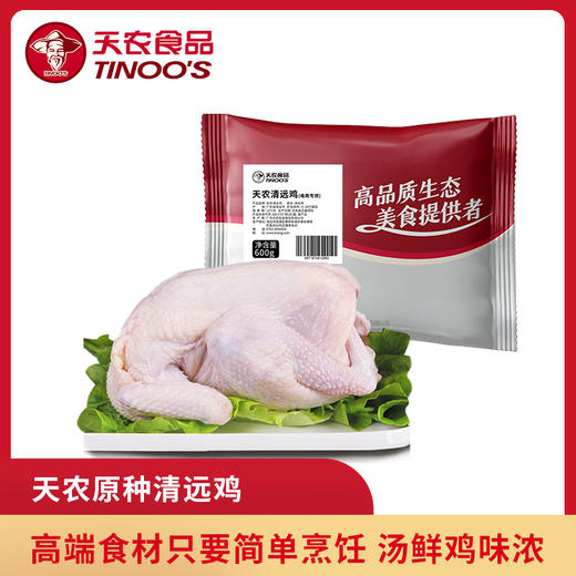 天农138原种清远鸡600g  生态农场散养走地鸡 供港基地出品 商品图1