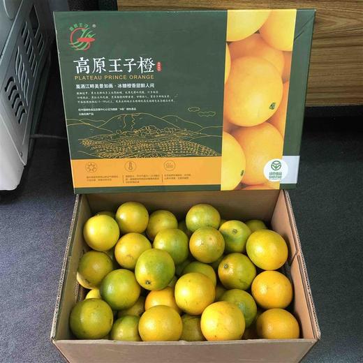 高原王子橙 商品图2