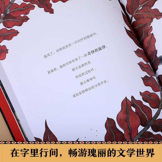 【赵健的读书日记】乐乐趣-狼的秘密 商品图4