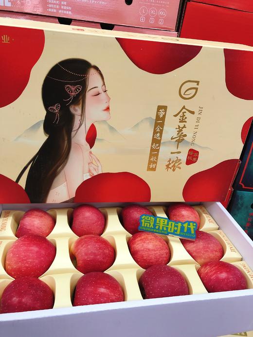 金帝一浓樱桃苹果一箱（拼团） 商品图0