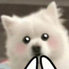 29元103G通用流量，也太卷了吧