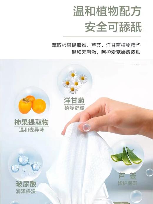 【积分商城】金多乐湿巾NACA宠物5D玻尿酸清洁护理手套沐浴露/清洁湿巾 商品图5