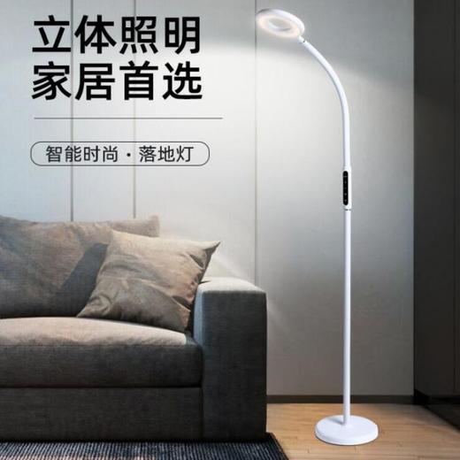 花畔里 无影落地灯LP001 商品图1