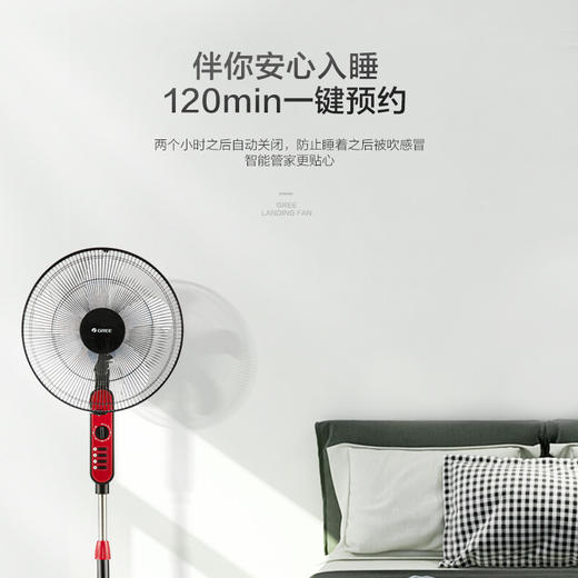 格力（GREE）五叶风扇/家用静音落地扇/立式电扇/电风扇 FD-4010-WG 商品图4