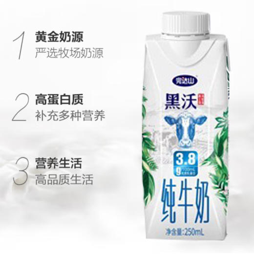 梦幻盖黑沃纯牛奶250ml*10（不带手提袋） 商品图2