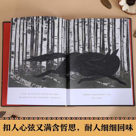 【赵健的读书日记】乐乐趣-狼的秘密 商品图3