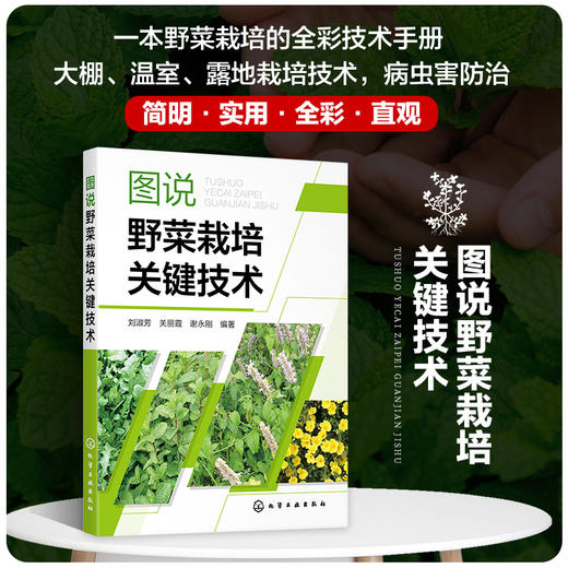 图说野菜栽培关键技术 商品图0