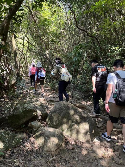 【泊寓户外】11月26日登马峦山品原生态土鸡 商品图8