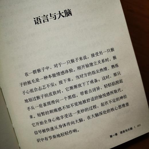 梳毛、八卦及语言的进化 商品图3