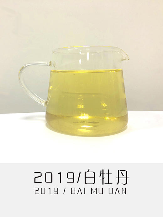 2019年白牡丹 商品图2