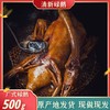 清新碌鹅 清远广式碌鹅 500g/1000g/2000g 商品缩略图1