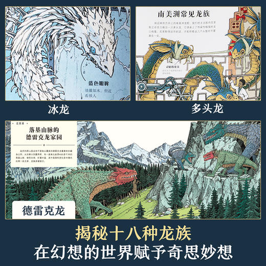 【赵健的读书日记】乐乐趣-龙的方舟 护龙者的科学探险手记（赠拼图） 商品图2