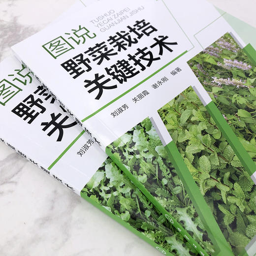 图说野菜栽培关键技术 商品图2