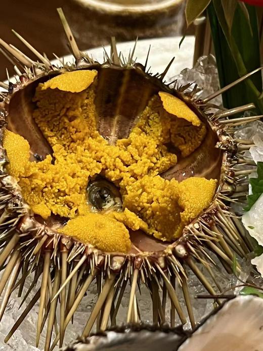 信条酒庄谁是赢家干白葡萄酒 2021 Celler Credo And The Winner Is 商品图1