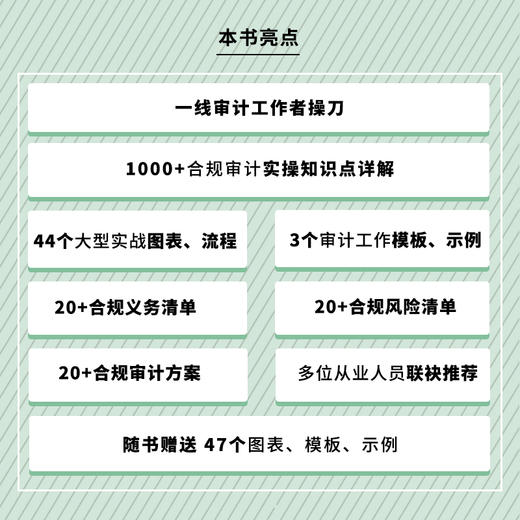合规审计实务指南 商品图4