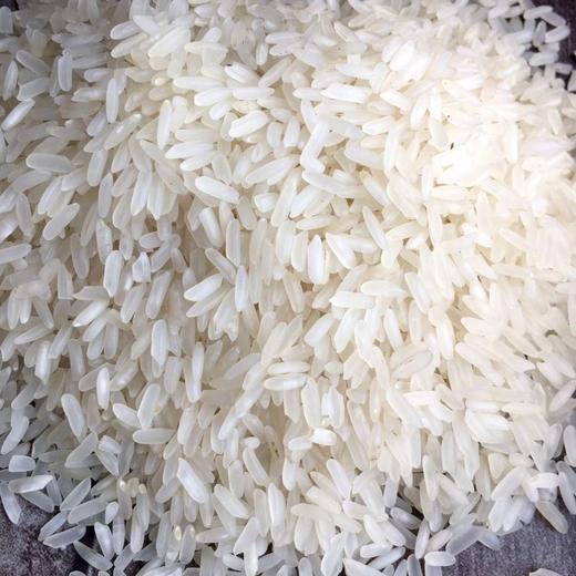 古辣象牙香米 (3.99元1斤，5斤/份) 商品图0