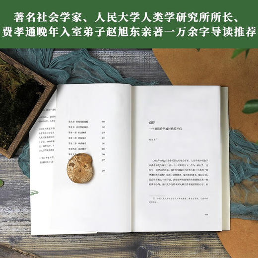 生育制度 费孝通 著 社会学 商品图2